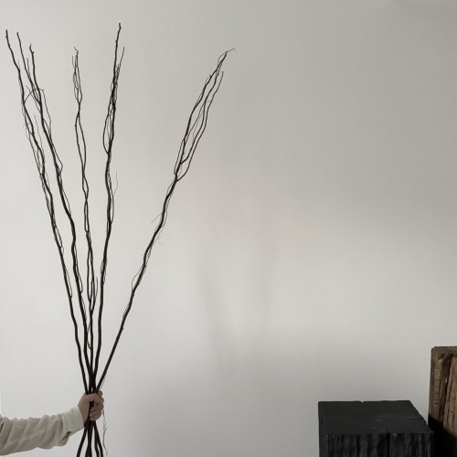 Brown-colored branches