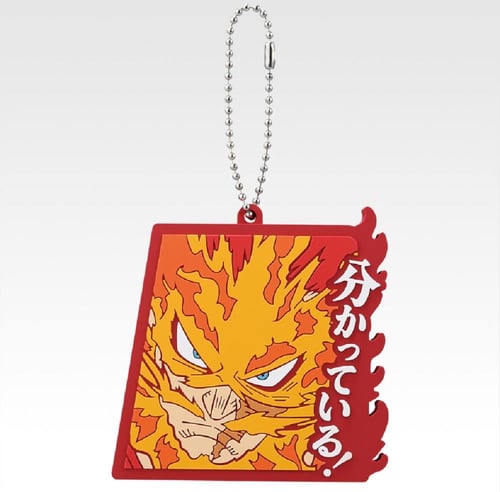 MY HERO ACADEMIA Rubber Collection