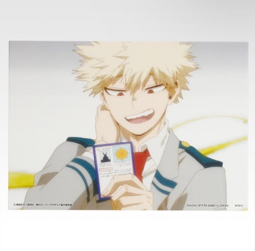 MY HERO ACADEMIA fabric pattern