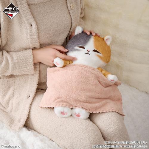 Relaxed kitty