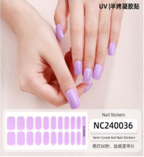 NC240036