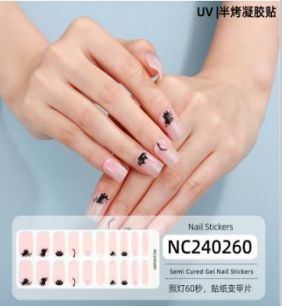 NC240260