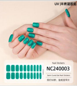 NC240003