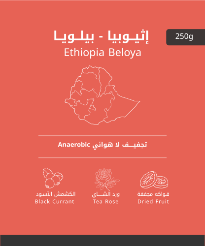 محصول إثيوبيا - بيلويا