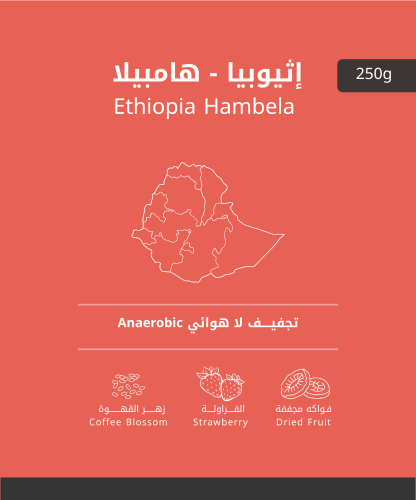 محصول إثيوبيا - هامبيلا