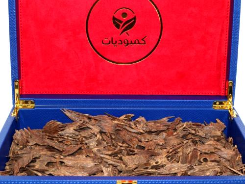 عود منيبور دبل فيس ميني (فرز)