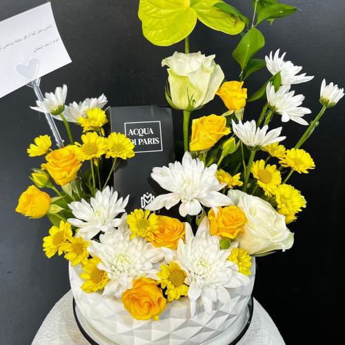 سولاريس (Solaris)