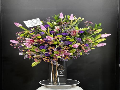 توليب جلو (tulip glow)