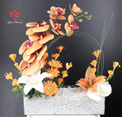 استند الشتاء