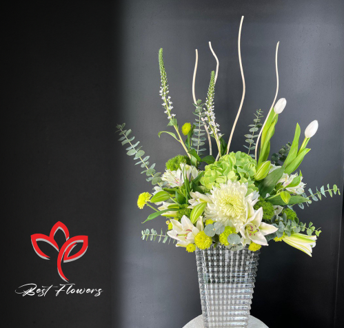 فازة زهرة العمر