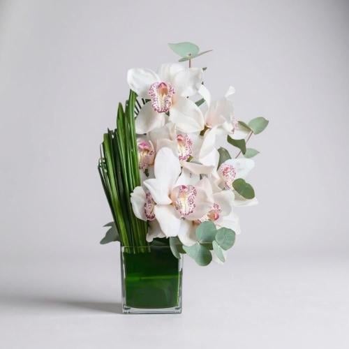 فازة ورد اوركيد