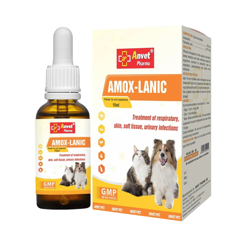 اموكس مضاد حيوي للقطط والكلاب 15 مللي