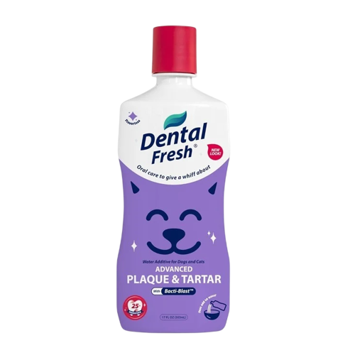 Dental Fresh pet teeth cleaner