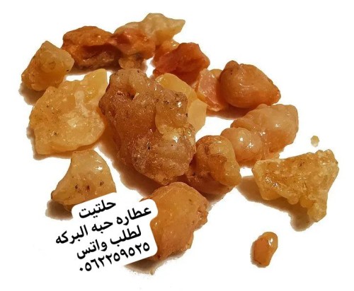 حلتيت