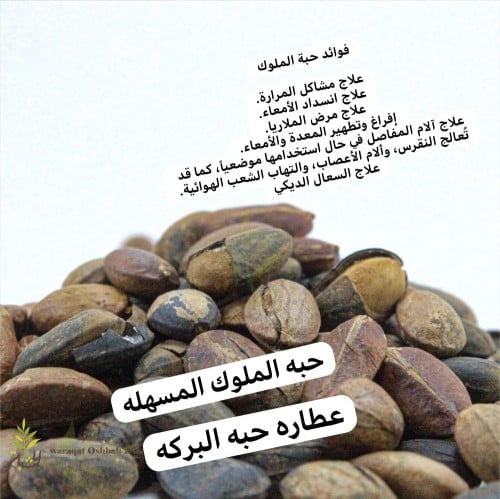 حبه الملوك المسهله
