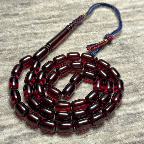 بكلايت بلجيكي حرباء عنابي