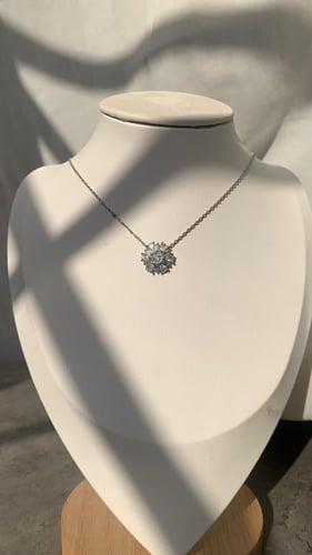 اكسسوار مع ورد مع كيكه