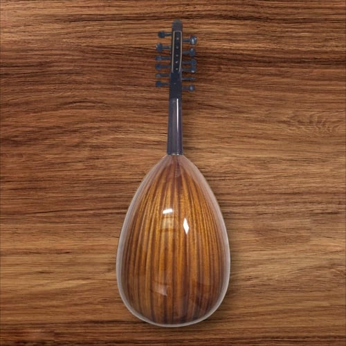 عود موسيقي شروق طارق عزوز