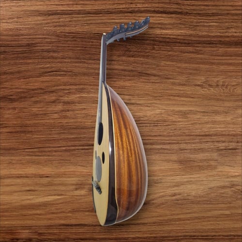 عود موسيقي شروق طارق عزوز