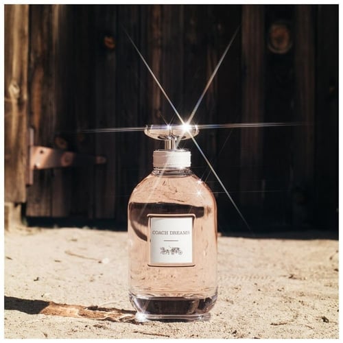 عطر كوتش دريمز او دو بارفيوم 90مل