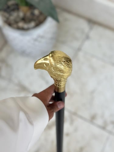 عصا غداره صقر