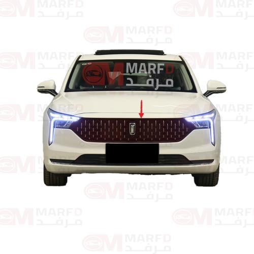 شبك امامي فاو B70