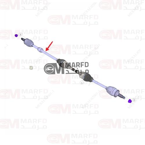 عكس يمين شانجان ايدو 2025