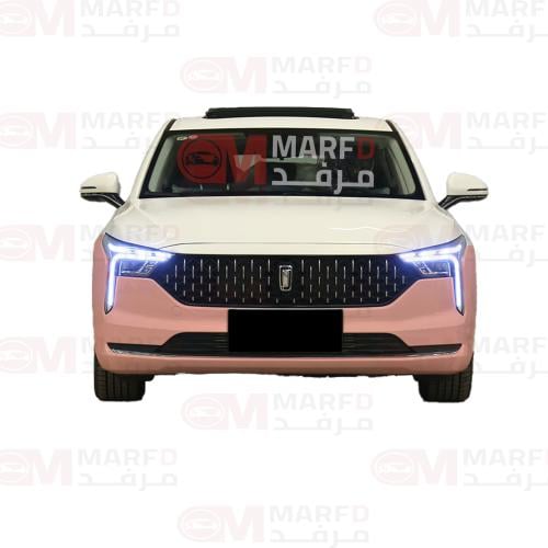 صدام امامي فاو B70