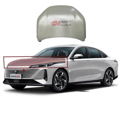 كبوت شانجان ايدو 2025