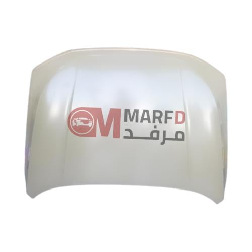 كبوت هافال دارجو