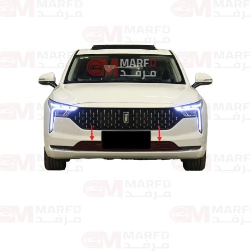 شبك صدام امامي تحت فاو B70