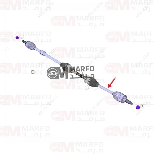 عكس يسار شانجان ايدو 2025