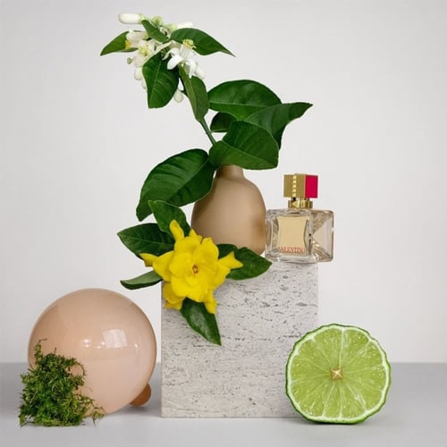 فالنتينو فوتشي فيفا 100