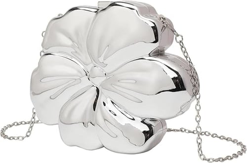 شنطة يد صغيرة من الاكريليك