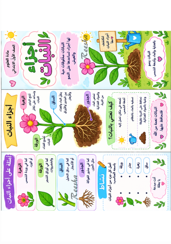 مطوية علوم الصف الأول اجزاء النبات جاهزه الطباعه