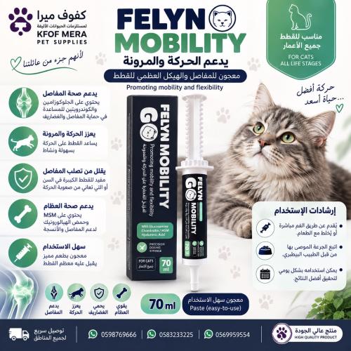 فلاين قو معجون موبيلتي 70جرام