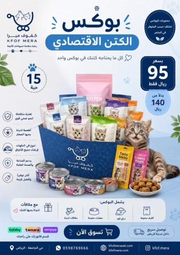 بوكس الكتن الاقتصادية