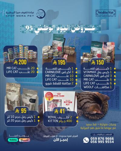 عروض اليوم الوطني 95 - بكج الرمل 95