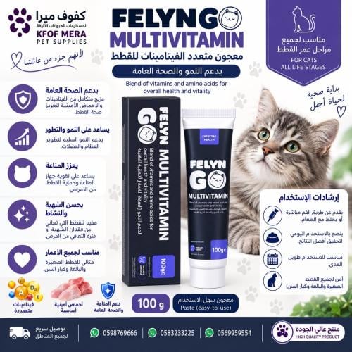 فلاين قو معجون مولتيفيتامين مقوي مناعه 100 جرام