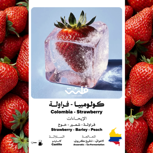 محمصة فلنت | كولومبيا - فراولة 250g