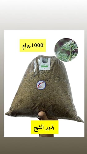 بذور الشيح من 100g إلى كيلو