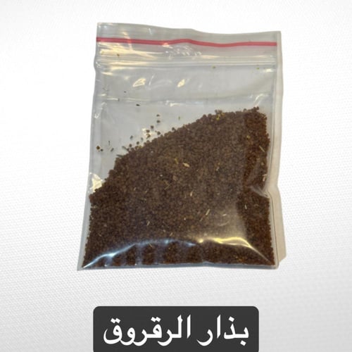 بكيج ربيعك في مكانك