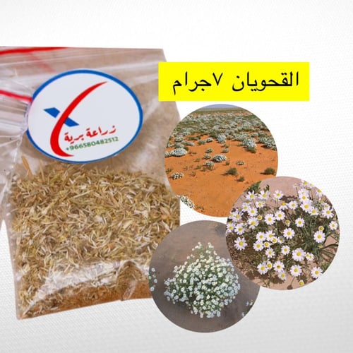 باذر الربيع والفقع 22g