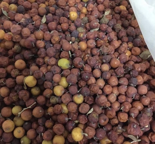 بذور السدر البري (سدر ، فياض)