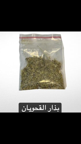 بكيج ربيعك في مكانك