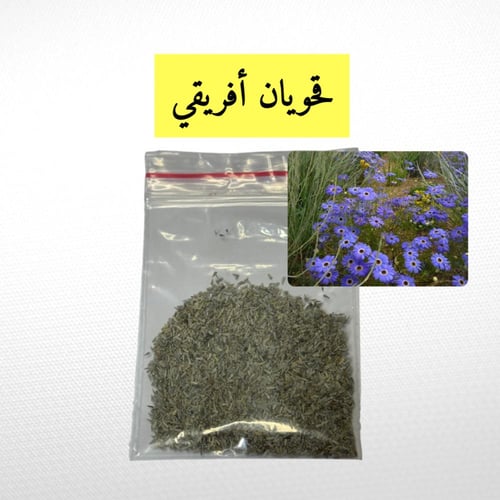 بكج ربيع مستعجل