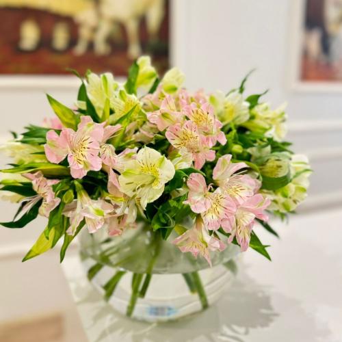 مزهرية ألستروميريا وردية ساحرة