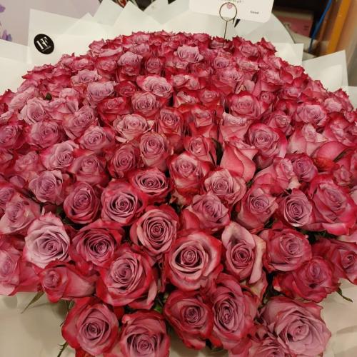 باقة الأرجوان العملاقة - Giant Purple Bouquet