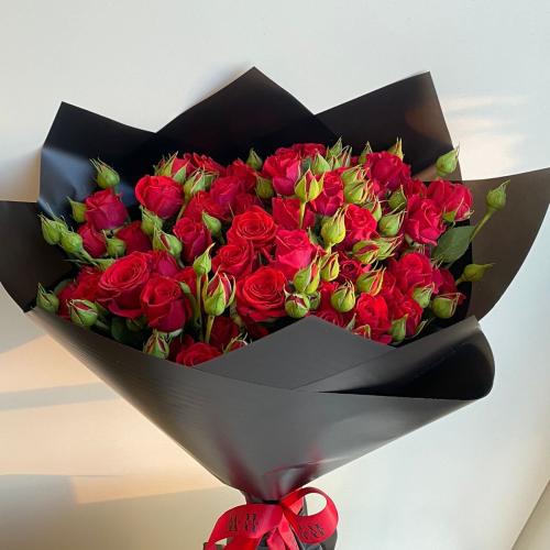 باقة الخيال الأحمر