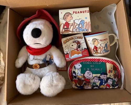 Snoopy box/بوكس سنوبي ✨